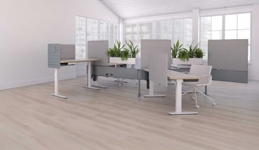 Modern office workspace with height-adjustable desks, gray acoustic panels, and small potted plants.