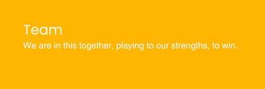 A text box contains a company value statement titled "Team" which reads: We are in this together, playing to our strengths, to win.