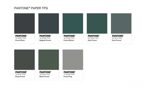 apex-blog-page-minimalist-office-Pantone-Forest-Palette