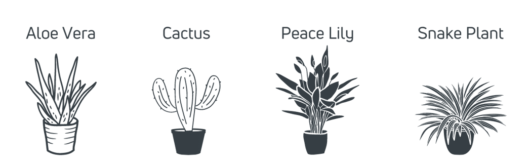 Types of Plants-1