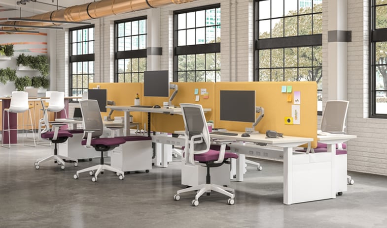 An open office layout featuring back-to-back workstations with stylish yellow and purple furnishings, highlighting adjustable tables and monitor arms for ergonomic versatility.
