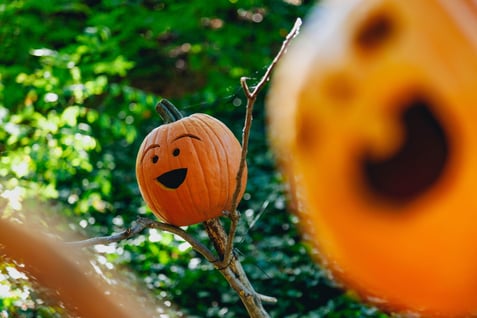 Pumpkins with carved faces. 